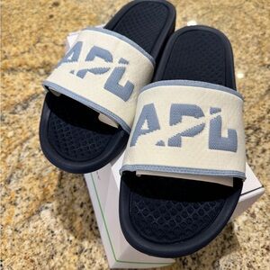 APL Big Logo TechLoom Slide